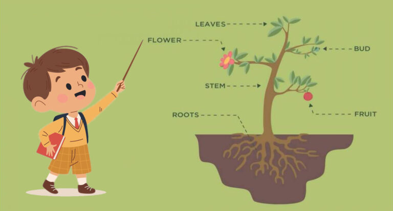 نمونه فعالیت کلاسی زبان انگلیسی پایه پنجم